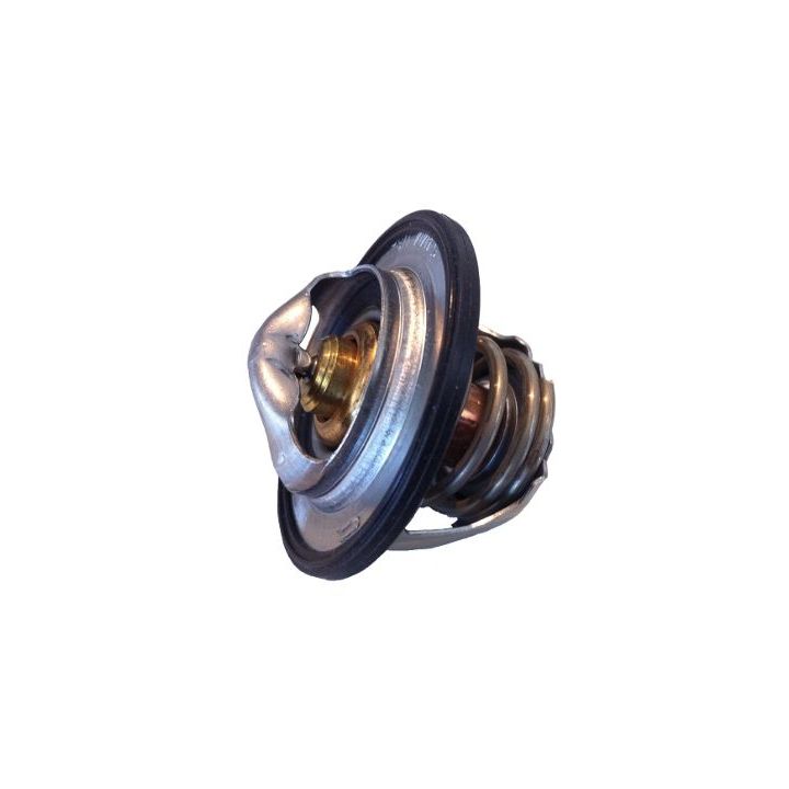 Termostatas, aušinimo skystis BorgWarner (Wahler) 411193.82D