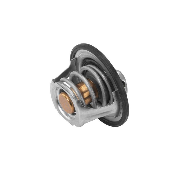 Termostatas, aušinimo skystis BorgWarner (Wahler) 411193.82D