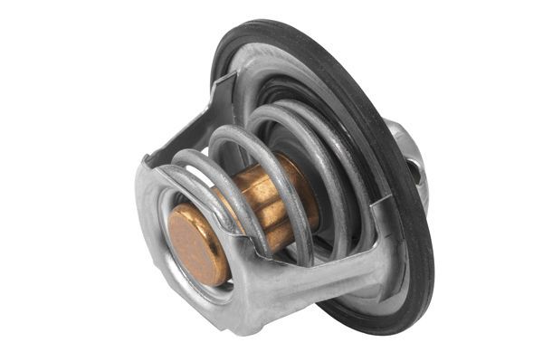 Termostatas, aušinimo skystis BorgWarner (Wahler) 411193.82D