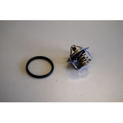 Termostatas, aušinimo skystis BorgWarner (Wahler) 411241.82D