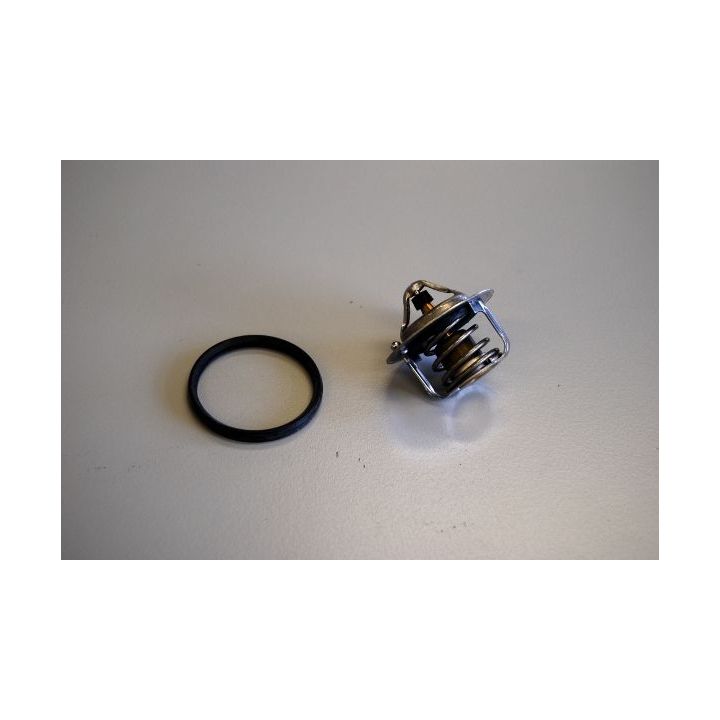 Termostatas, aušinimo skystis BorgWarner (Wahler) 411241.82D