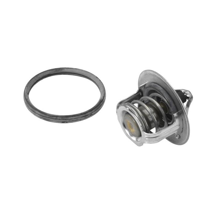 Termostatas, aušinimo skystis BorgWarner (Wahler) 411241.82D