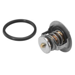 Termostatas, aušinimo skystis BorgWarner (Wahler) 411545.82D