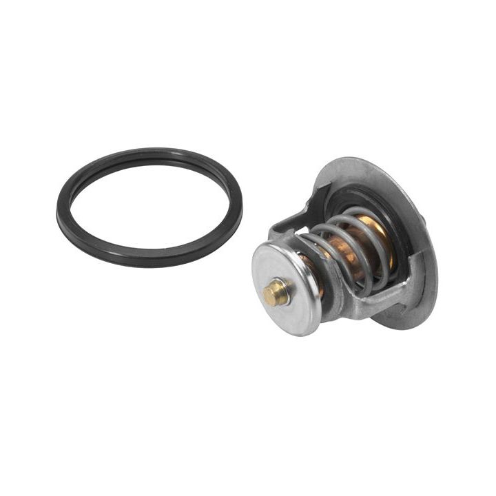 Termostatas, aušinimo skystis BorgWarner (Wahler) 411545.82D