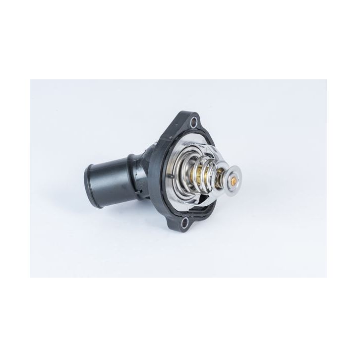 Termostatas, aušinimo skystis BorgWarner (Wahler) 411886.82D