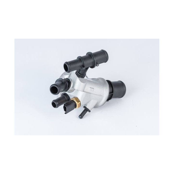 Termostatas, aušinimo skystis BorgWarner (Wahler) 411928.88D