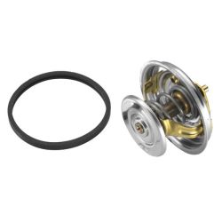 Termostatas, aušinimo skystis BorgWarner (Wahler) 4122.87D