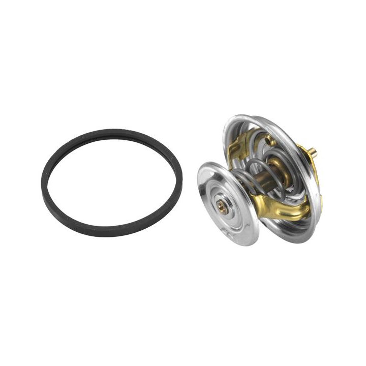 Termostatas, aušinimo skystis BorgWarner (Wahler) 4122.87D