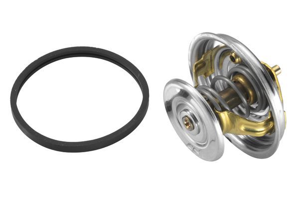 Termostatas, aušinimo skystis BorgWarner (Wahler) 4122.87D