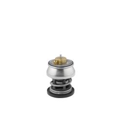 Termostatas, aušinimo skystis BorgWarner (Wahler) 412253.88D