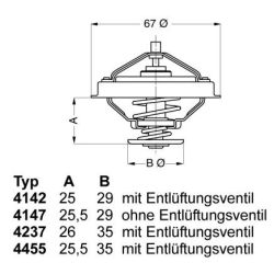 Termostatas, aušinimo skystis BorgWarner (Wahler) 4147.80D