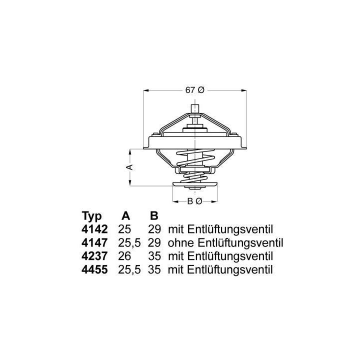 Termostatas, aušinimo skystis BorgWarner (Wahler) 4147.80D