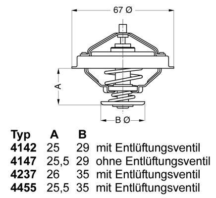 Termostatas, aušinimo skystis BorgWarner (Wahler) 4147.80D