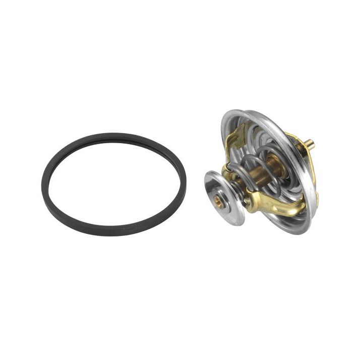 Termostatas, aušinimo skystis BorgWarner (Wahler) 4147.80D