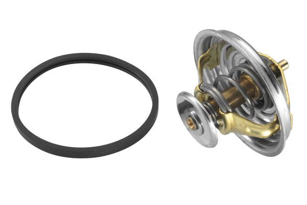 Termostatas, aušinimo skystis BorgWarner (Wahler) 4147.80D