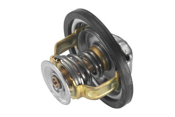 Termostatas, aušinimo skystis BorgWarner (Wahler) 4151.79D