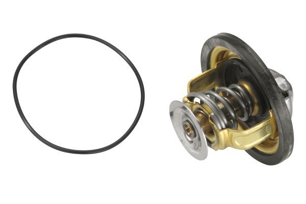 Termostatas, aušinimo skystis BorgWarner (Wahler) 4174.79D