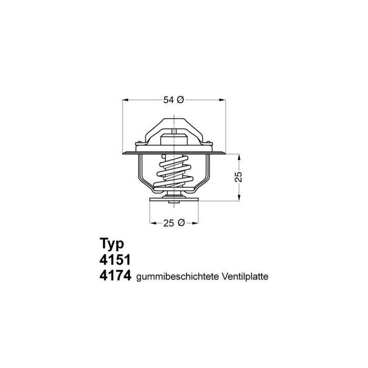 Termostatas, aušinimo skystis BorgWarner (Wahler) 4174.82D