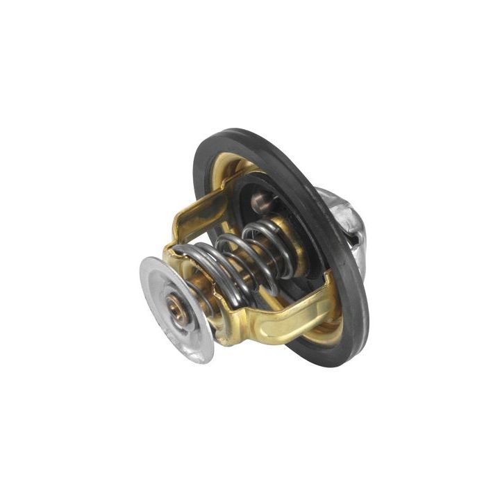 Termostatas, aušinimo skystis BorgWarner (Wahler) 4174.82D