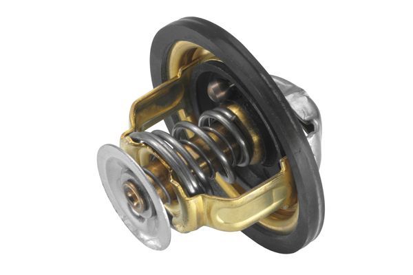 Termostatas, aušinimo skystis BorgWarner (Wahler) 4174.82D