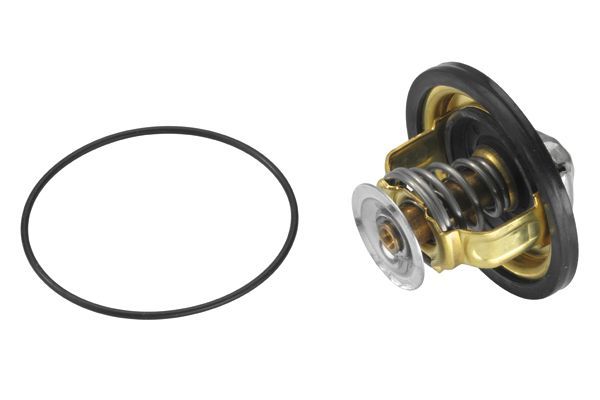 Termostatas, aušinimo skystis BorgWarner (Wahler) 4174.88D