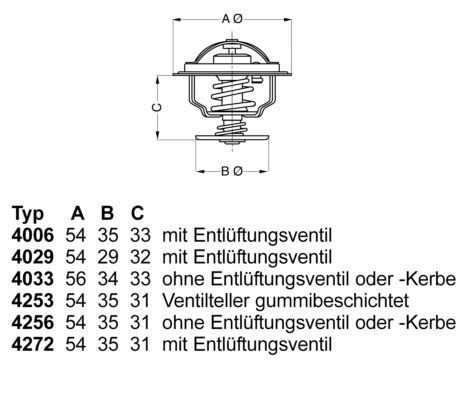 Termostatas, aušinimo skystis BorgWarner (Wahler) 4256.87D50
