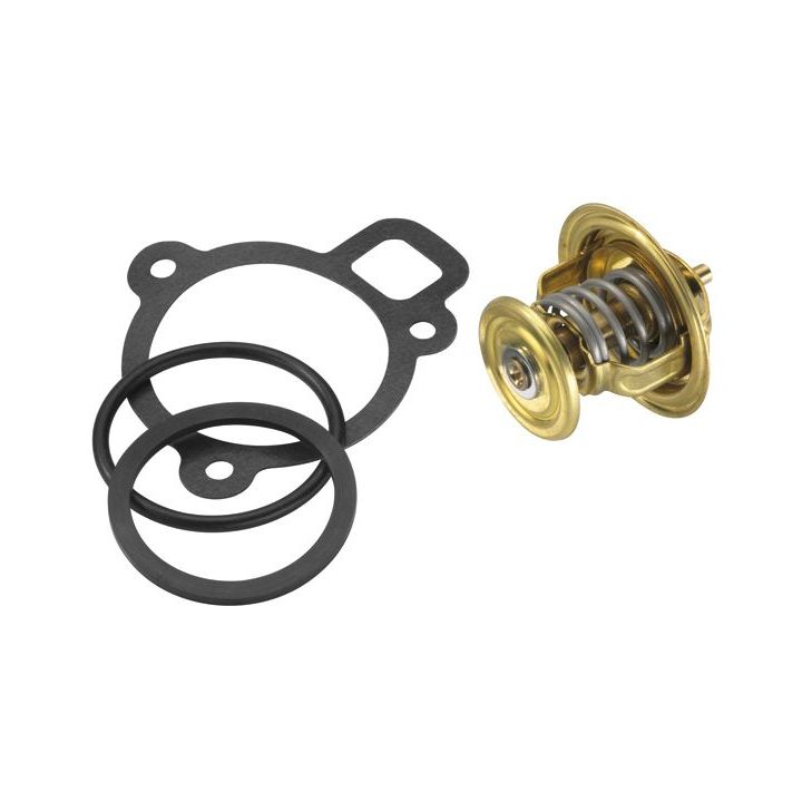 Termostatas, aušinimo skystis BorgWarner (Wahler) 4256.87D50