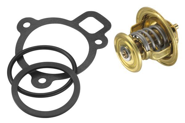 Termostatas, aušinimo skystis BorgWarner (Wahler) 4256.87D50