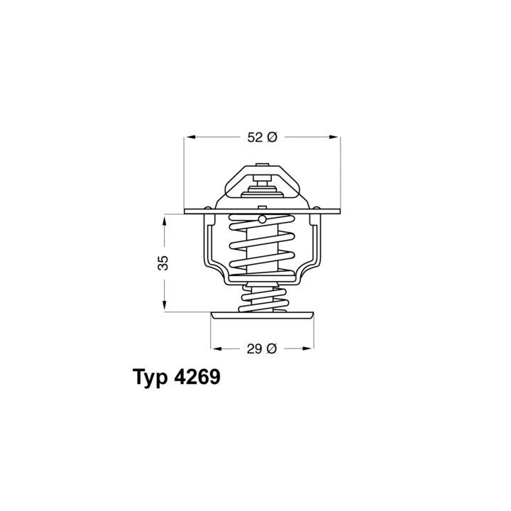 Termostatas, aušinimo skystis BorgWarner (Wahler) 4269.78D