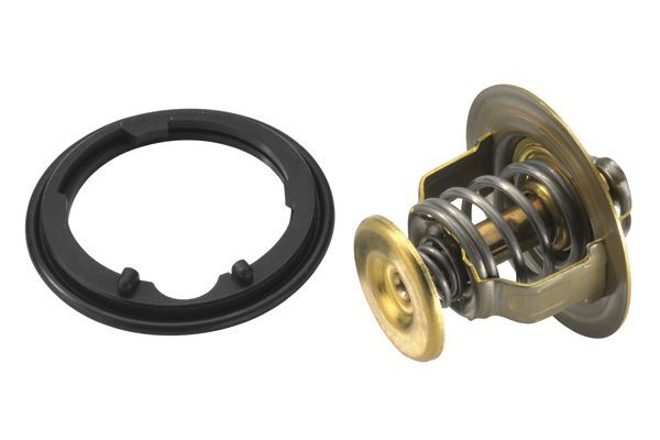 Termostatas, aušinimo skystis BorgWarner (Wahler) 4269.78D