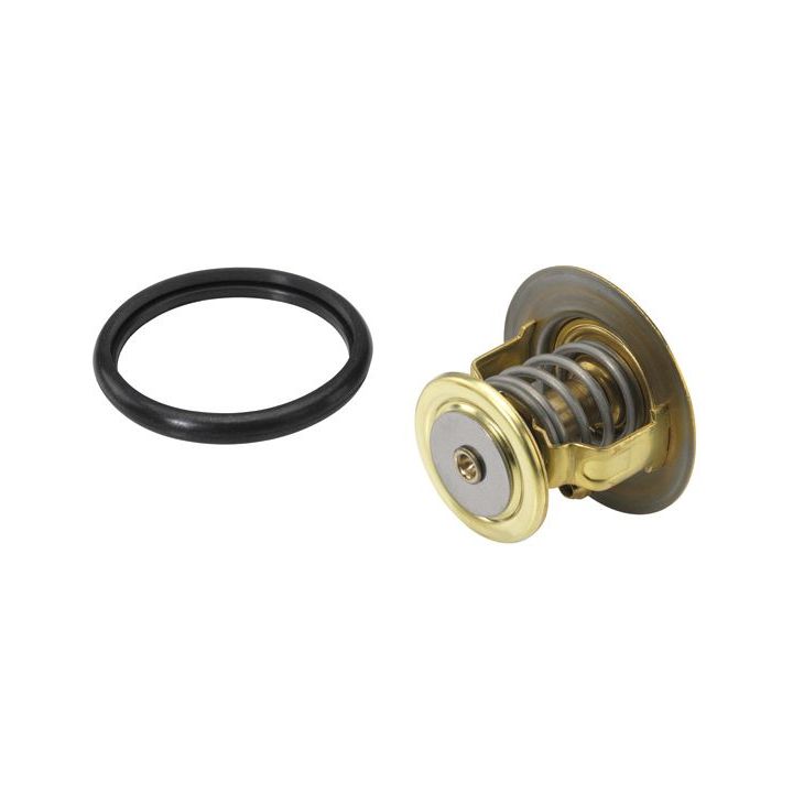 Termostatas, aušinimo skystis BorgWarner (Wahler) 4270.88D