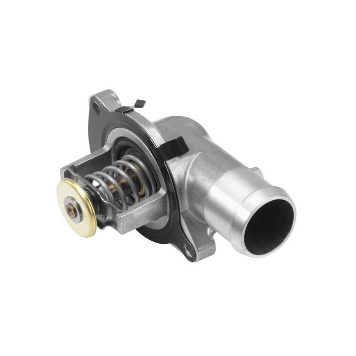 Termostatas, aušinimo skystis BorgWarner (Wahler) 4430.87D