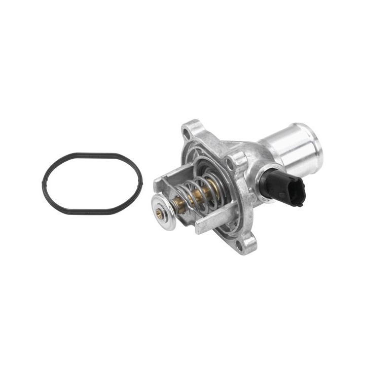 Termostatas, aušinimo skystis BorgWarner (Wahler) 4431.105D