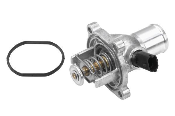 Termostatas, aušinimo skystis BorgWarner (Wahler) 4431.105D