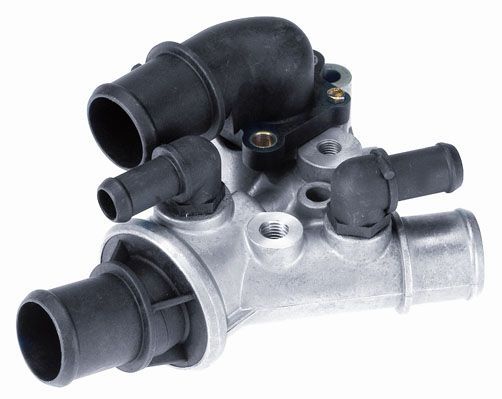 Termostatas, aušinimo skystis BorgWarner (Wahler) 4436.80D