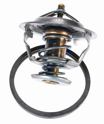 Termostatas, aušinimo skystis BorgWarner (Wahler) 4446.83D