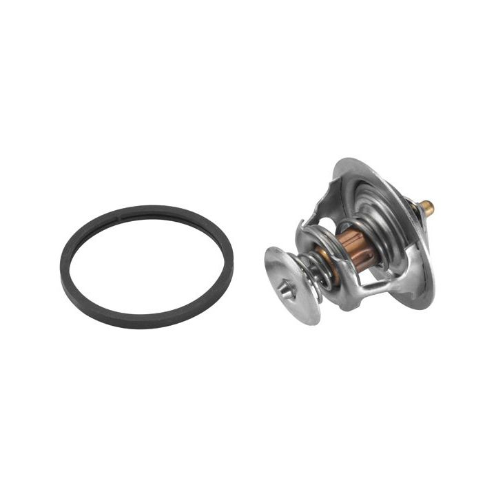 Termostatas, aušinimo skystis BorgWarner (Wahler) 4446.83D