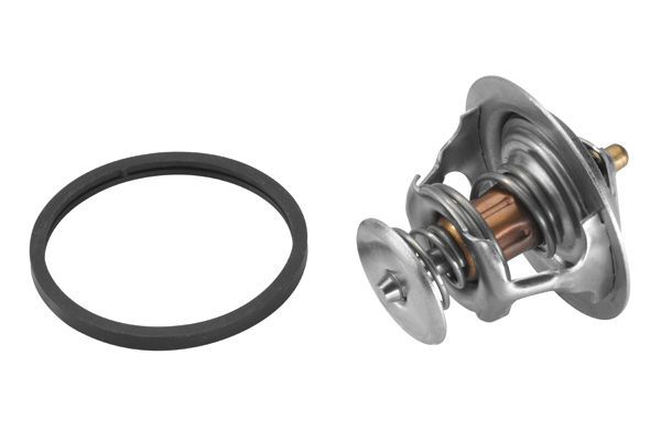 Termostatas, aušinimo skystis BorgWarner (Wahler) 4446.83D