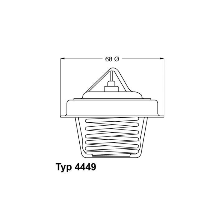 Termostatas, aušinimo skystis BorgWarner (Wahler) 4449.84D