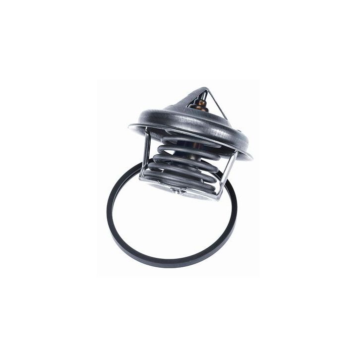 Termostatas, aušinimo skystis BorgWarner (Wahler) 4449.84D