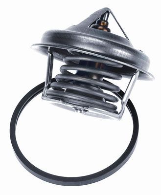 Termostatas, aušinimo skystis BorgWarner (Wahler) 4449.84D