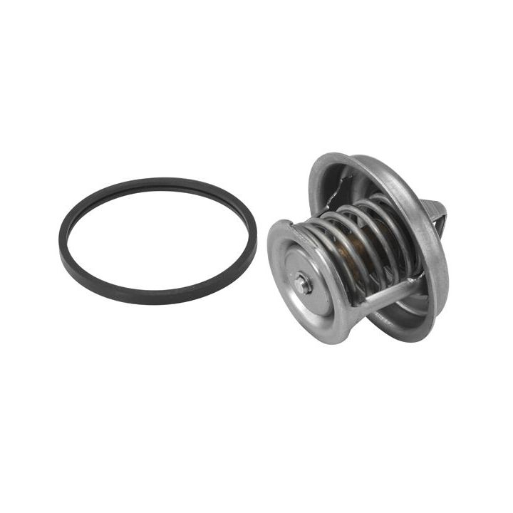 Termostatas, aušinimo skystis BorgWarner (Wahler) 4449.84D