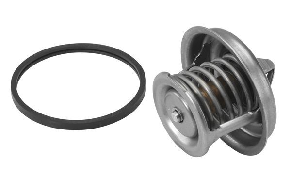 Termostatas, aušinimo skystis BorgWarner (Wahler) 4449.84D