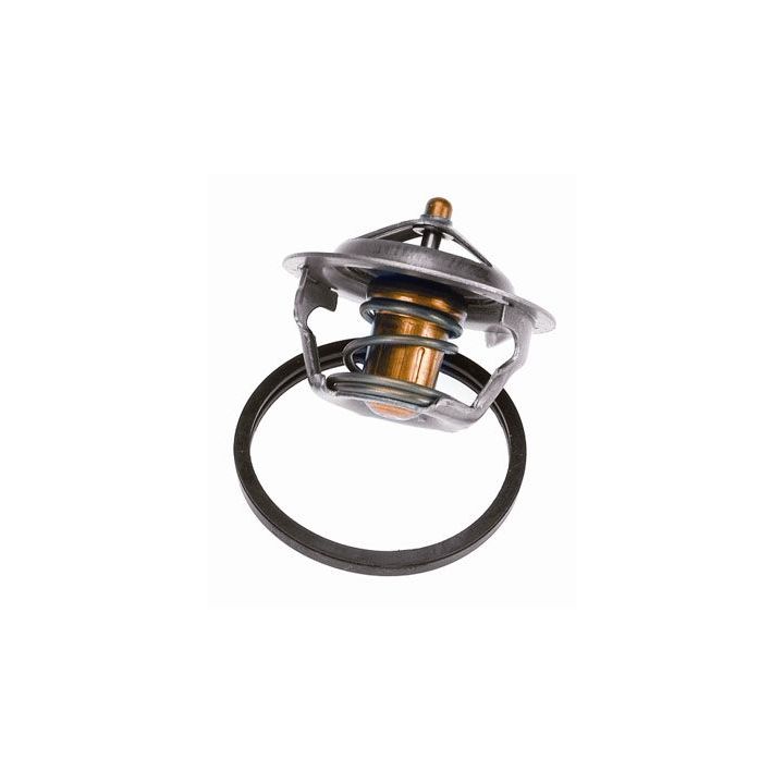 Termostatas, aušinimo skystis BorgWarner (Wahler) 4450.83D