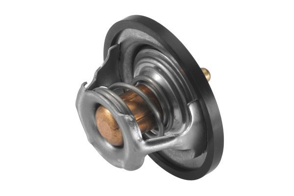 Termostatas, aušinimo skystis BorgWarner (Wahler) 4450.83D