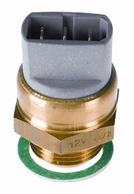 Temperatūros jungiklis, radiatoriaus ventiliatorius BorgWarner (Wahler) 6017.85D