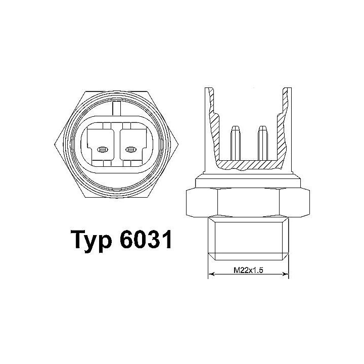 Temperatūros jungiklis, radiatoriaus ventiliatorius BorgWarner (Wahler) 6031.97D