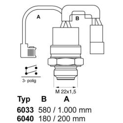 Temperatūros jungiklis, radiatoriaus ventiliatorius BorgWarner (Wahler) 6040.88