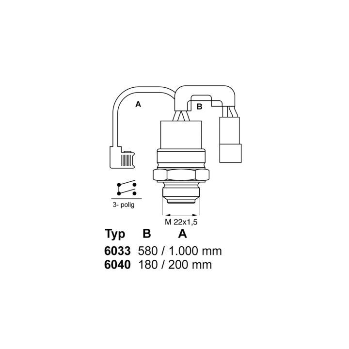 Temperatūros jungiklis, radiatoriaus ventiliatorius BorgWarner (Wahler) 6040.88
