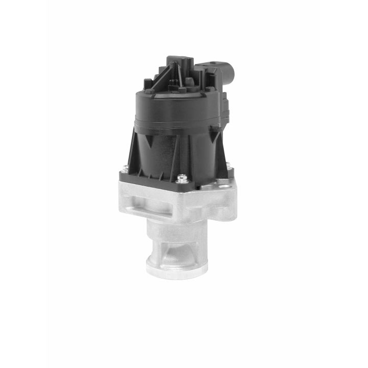 ERG vožtuvas BorgWarner (Wahler) 710559D